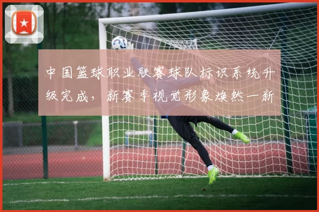中国篮球职业联赛球队标识系统升级完成,新赛季视觉形象焕然一新