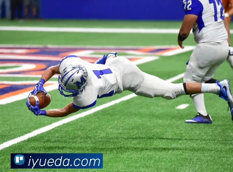 App Interface Preview